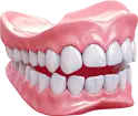 Por que escolher a Ortho+?
